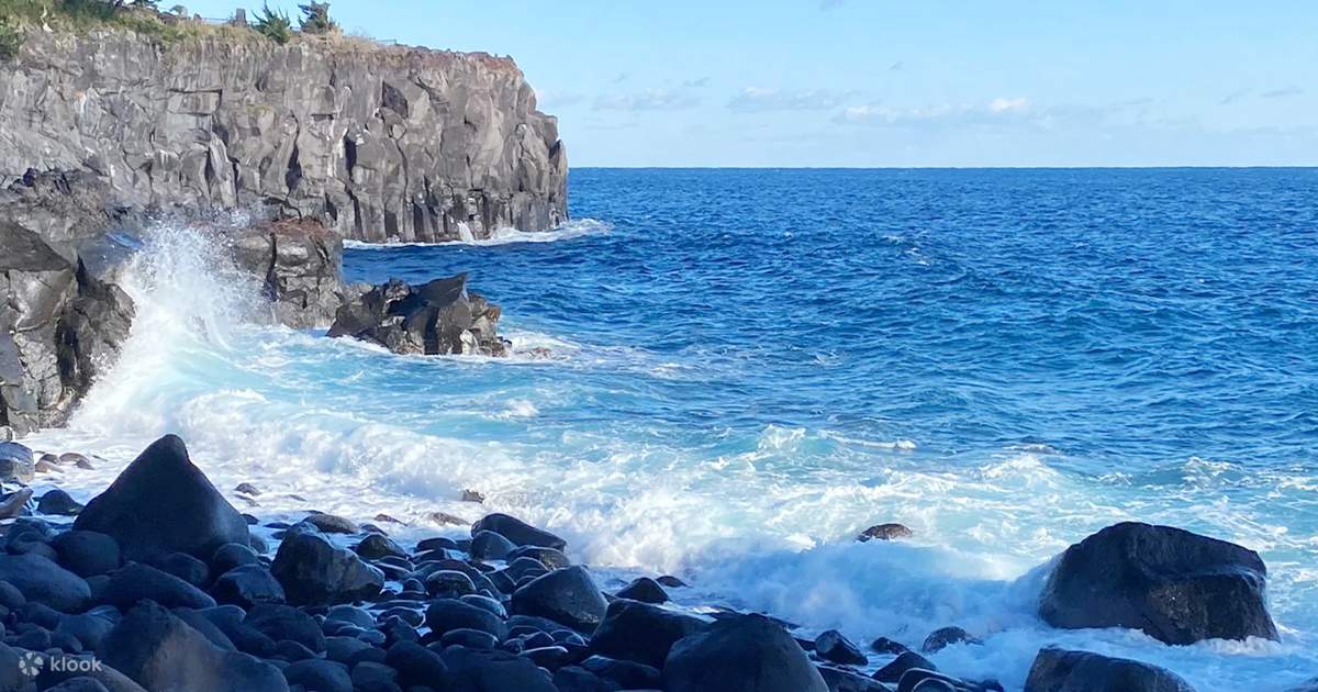 Small Group of 9] Izu Mount Omuro/Cactus Park & Ocean View Train